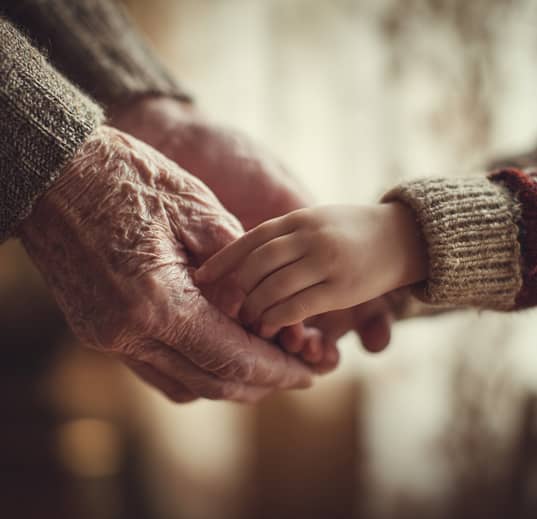 Le droit des successions